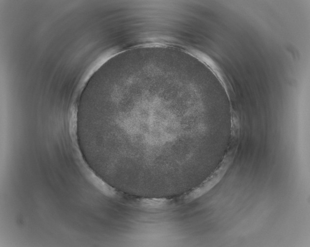 X0000112860859200910021310
