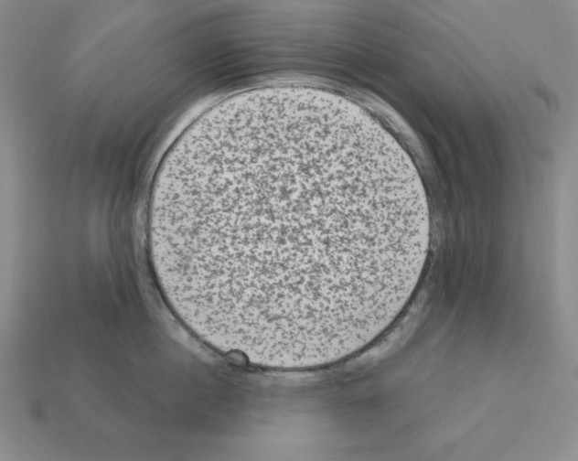 X0000112860860200910021310
