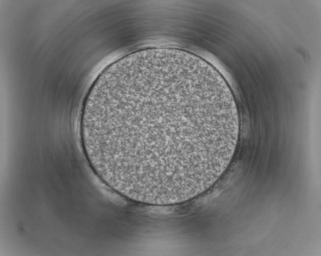 X0000112860861200910021310