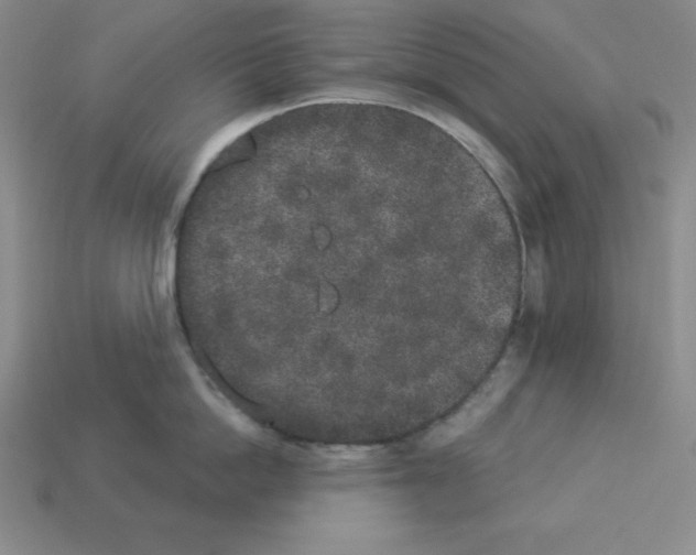 X0000112860862200910021310