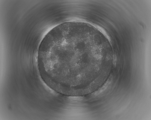 X0000112860863200910021310
