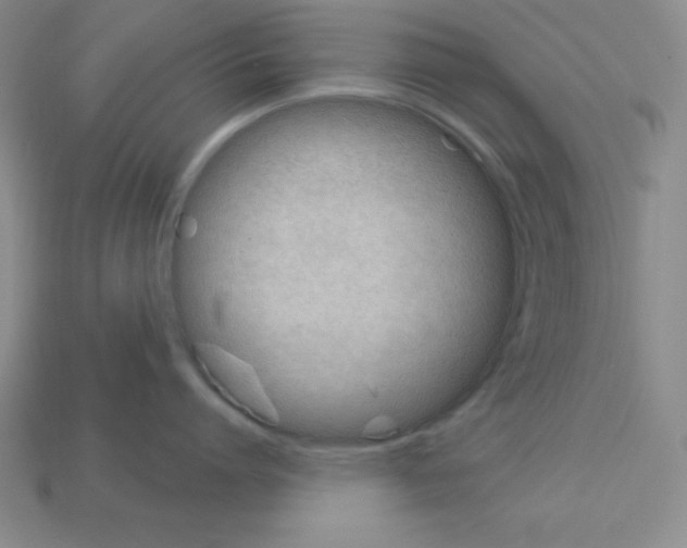 X0000112860864200910021310