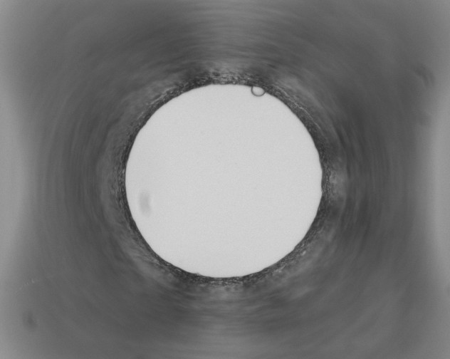 X0000112860865200910021309