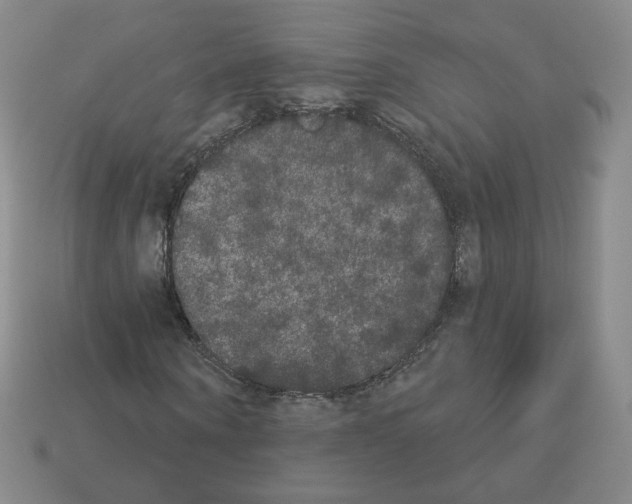 X0000112860866200910021309