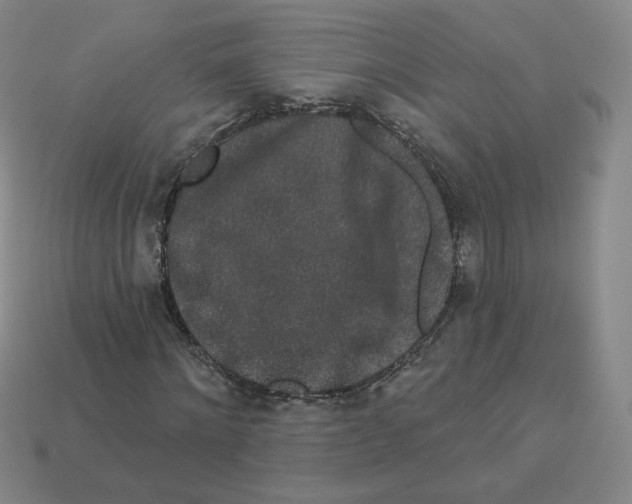 X0000112860868200910021309