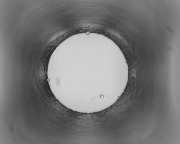 X0000112860869200910021309
