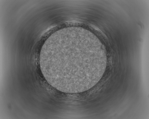 X0000112860870200910021309