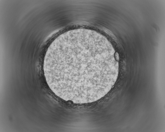 X0000112860872200910021309