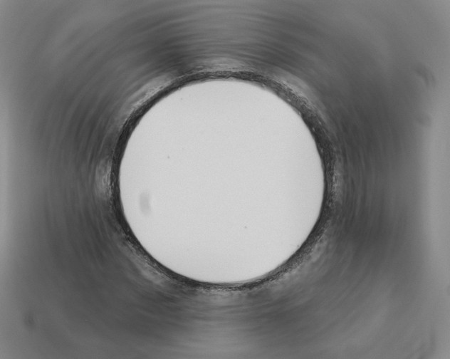 X0000112860873200910021309