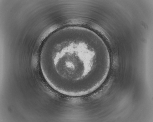 X0000112860874200910021309