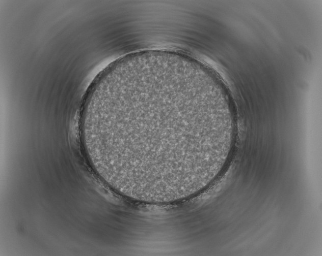 X0000112860875200910021309