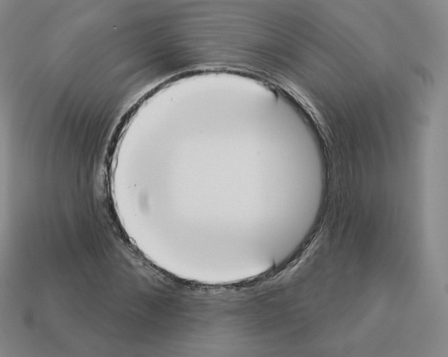 X0000112860876200910021309