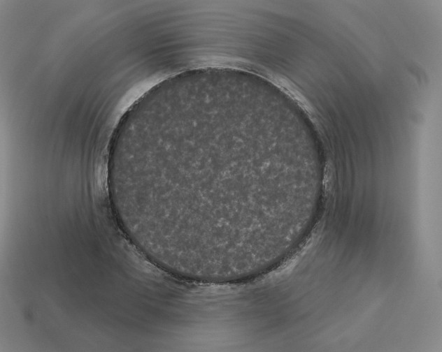 X0000112860877200910021309