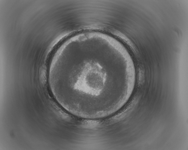 X0000112860878200910021309