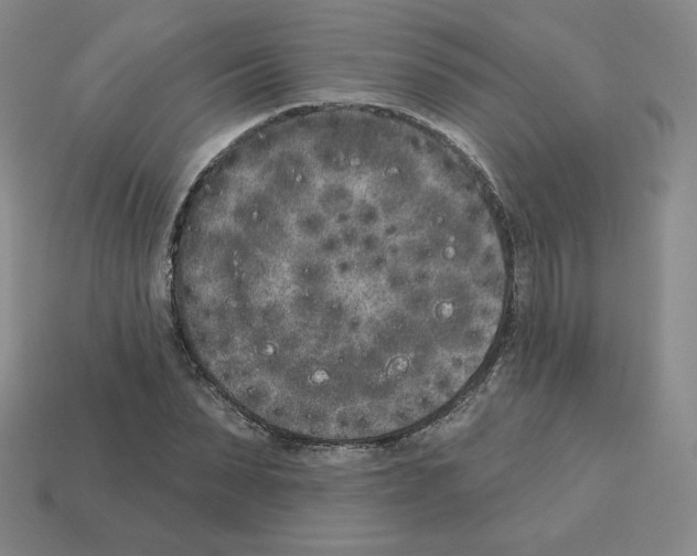 X0000112860879200910021309