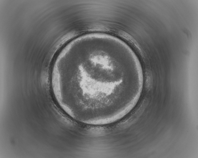 X0000112860882200910021309