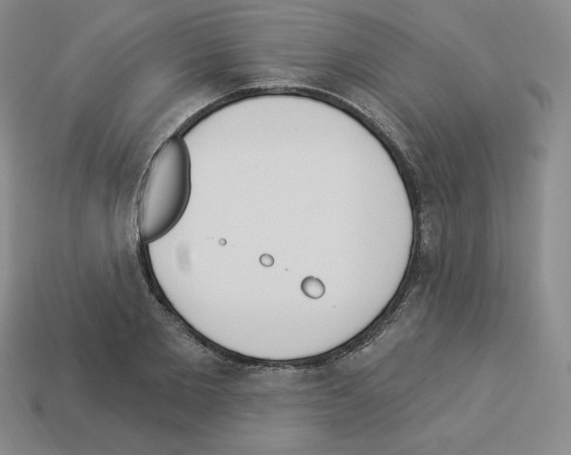 X0000112860885200910021309