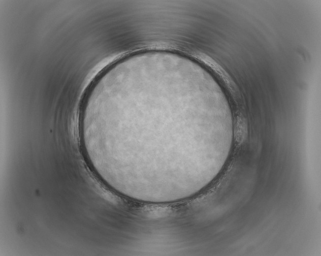 X0000112860886200910021309