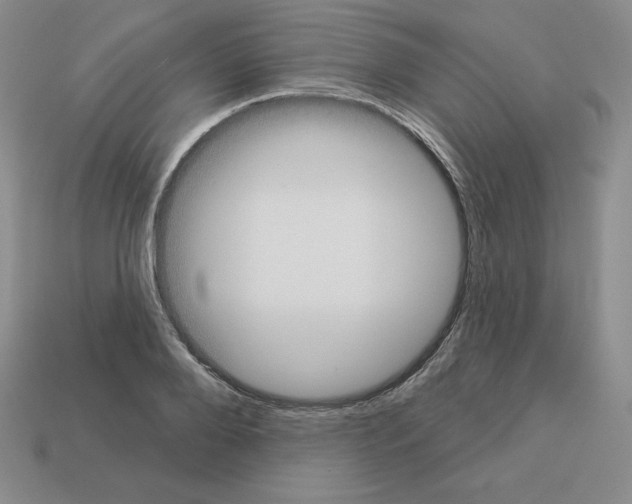 X0000112860888200910021309