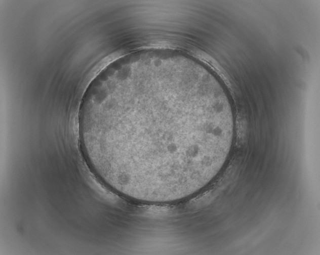 X0000112860890200910021309