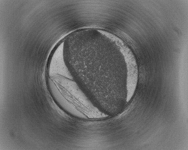 X0000112860892200910021309