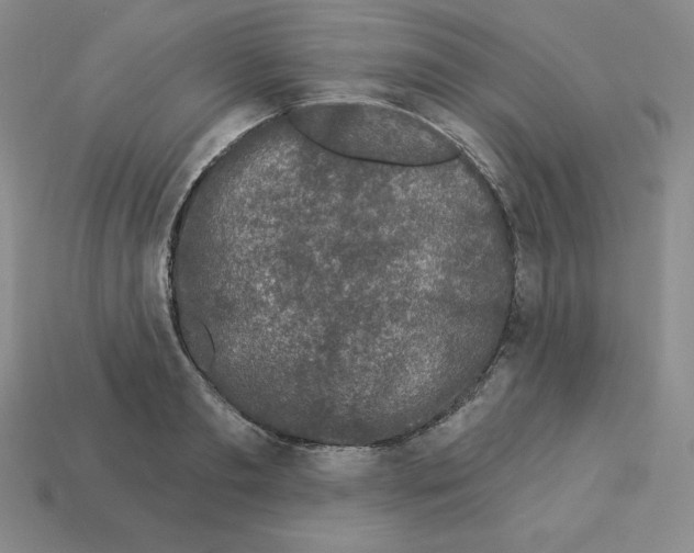 X0000112860893200910021309