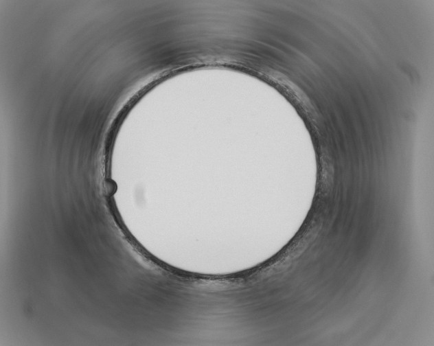 X0000112860894200910021309