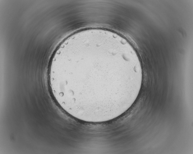 X0000112860895200910021309
