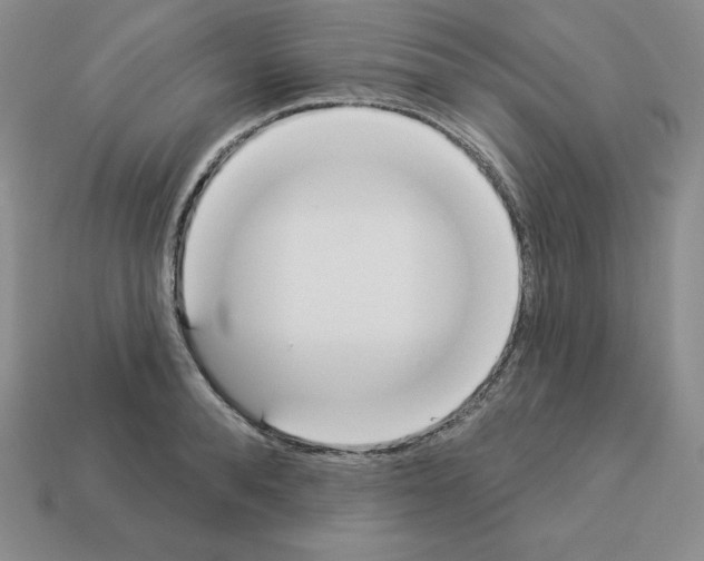 X0000112860896200910021309