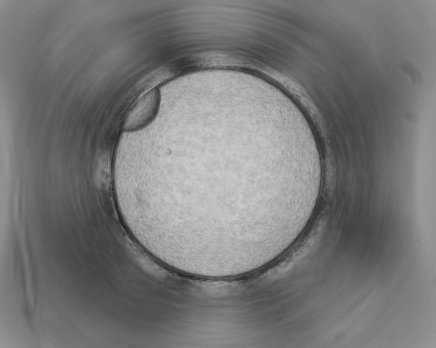 X0000112860897200910021309