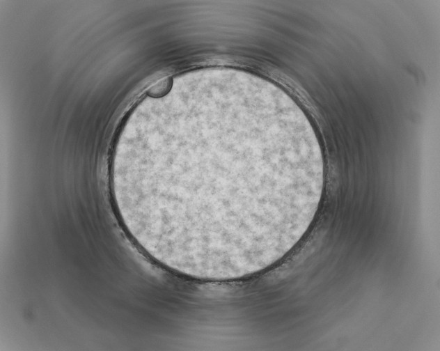 X0000112860898200910021309