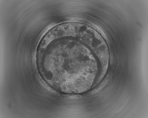 X0000112860899200910021309
