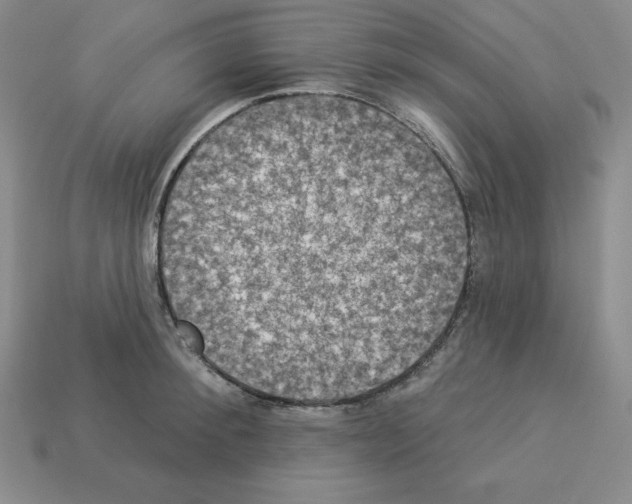 X0000112860900200910021309