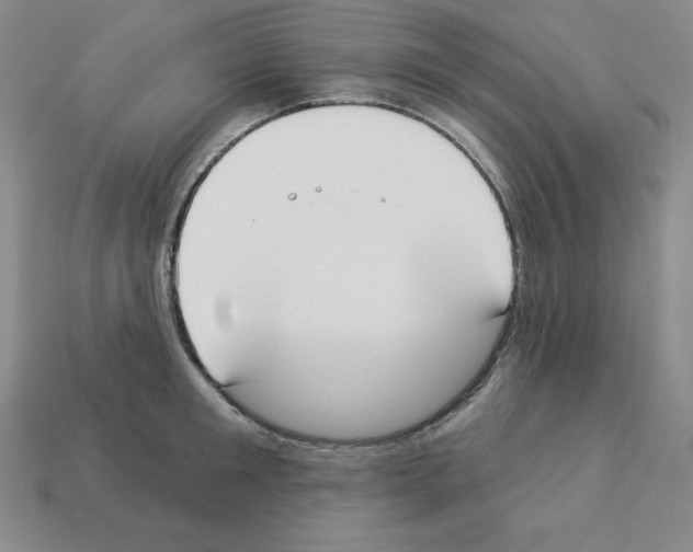 X0000112860901200910021309