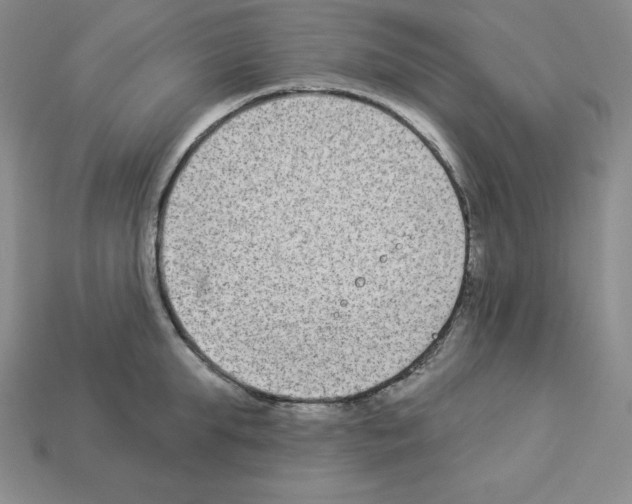 X0000112860903200910021309