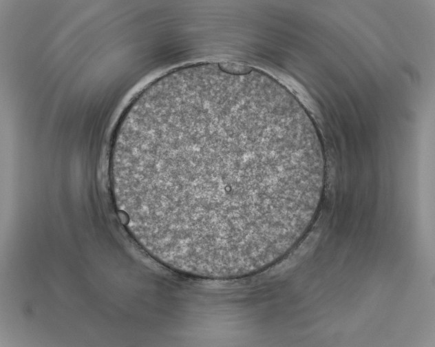 X0000112860904200910021309