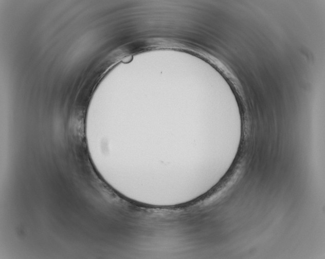 X0000112860905200910021309