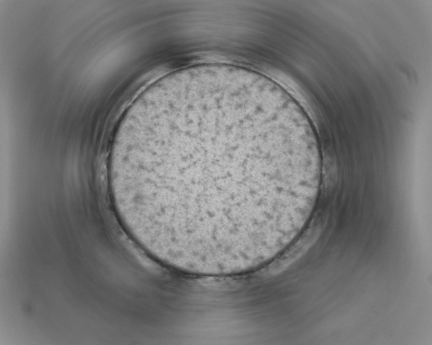 X0000112860906200910021309