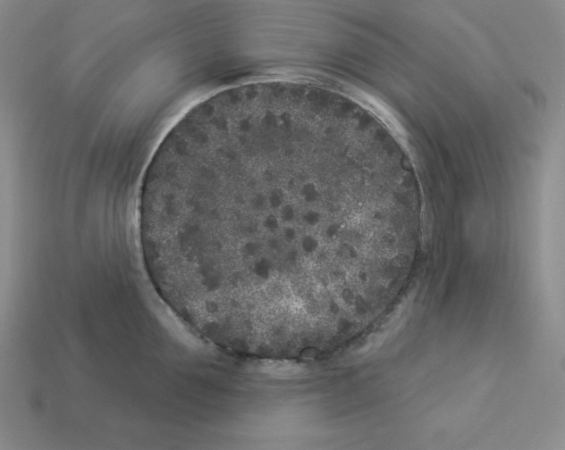 X0000112860907200910021309