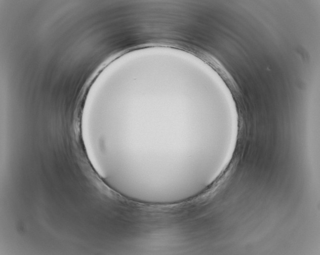 X0000112860908200910021309