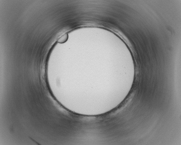 X0000112860909200910021309