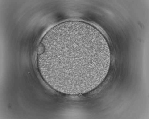 X0000112860911200910021309
