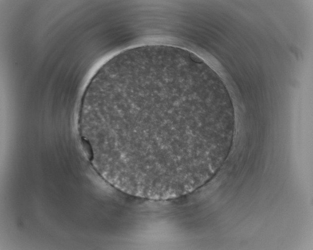 X0000112860912200910021309
