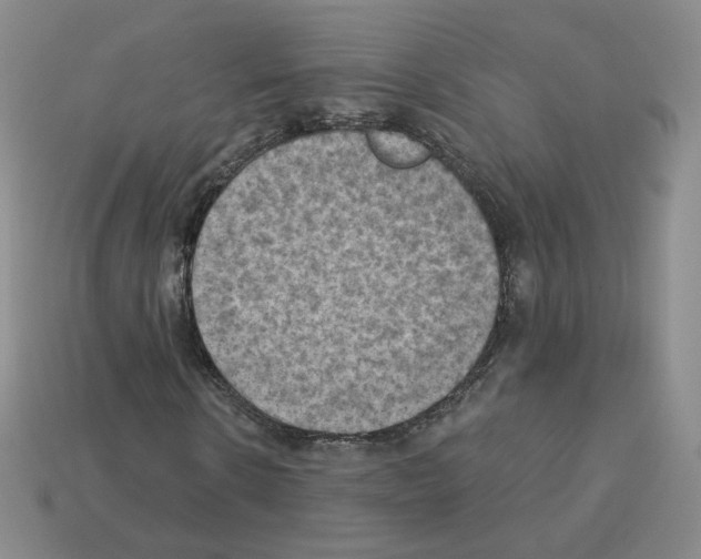 X0000112860914200910021308