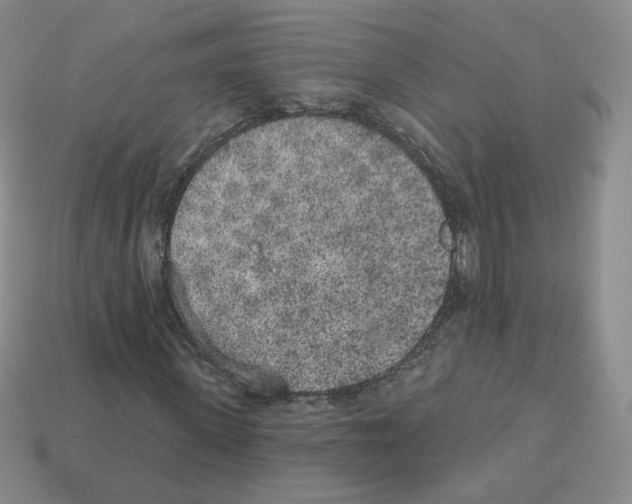 X0000112860915200910021308