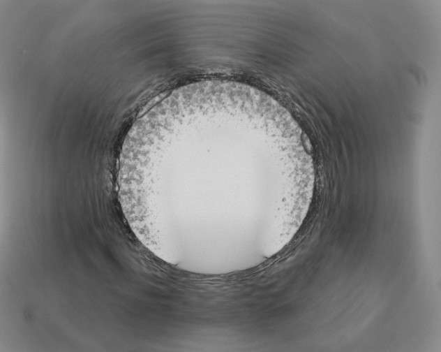 X0000112860916200910021308
