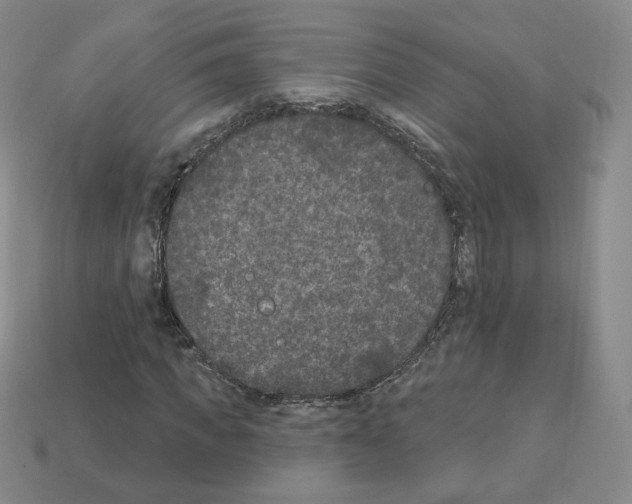 X0000112860917200910021308