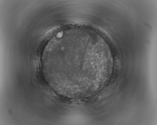 X0000112860918200910021308