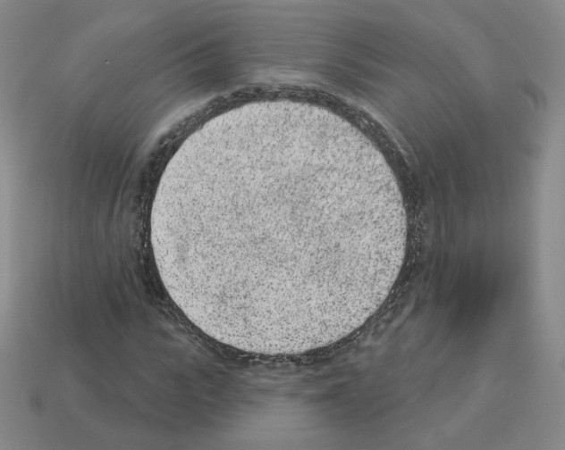 X0000112860919200910021308
