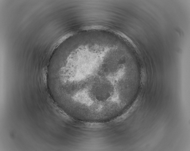 X0000112860921200910021308
